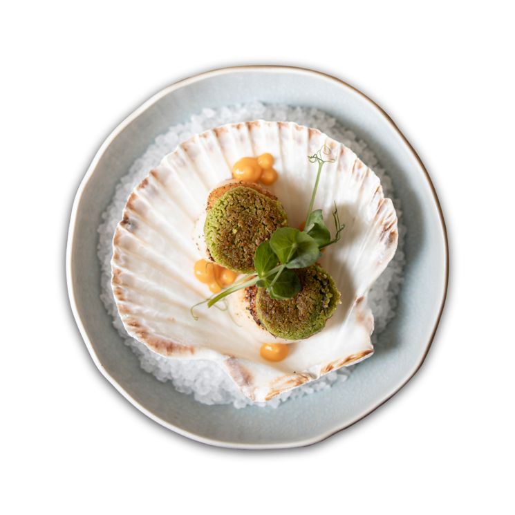 Ihr 5-Sterne-Hotel in Südtirol mit jeglichem Luxus Ihr 5-Sterne-Hotel in Südtirol mit jeglichem Luxus